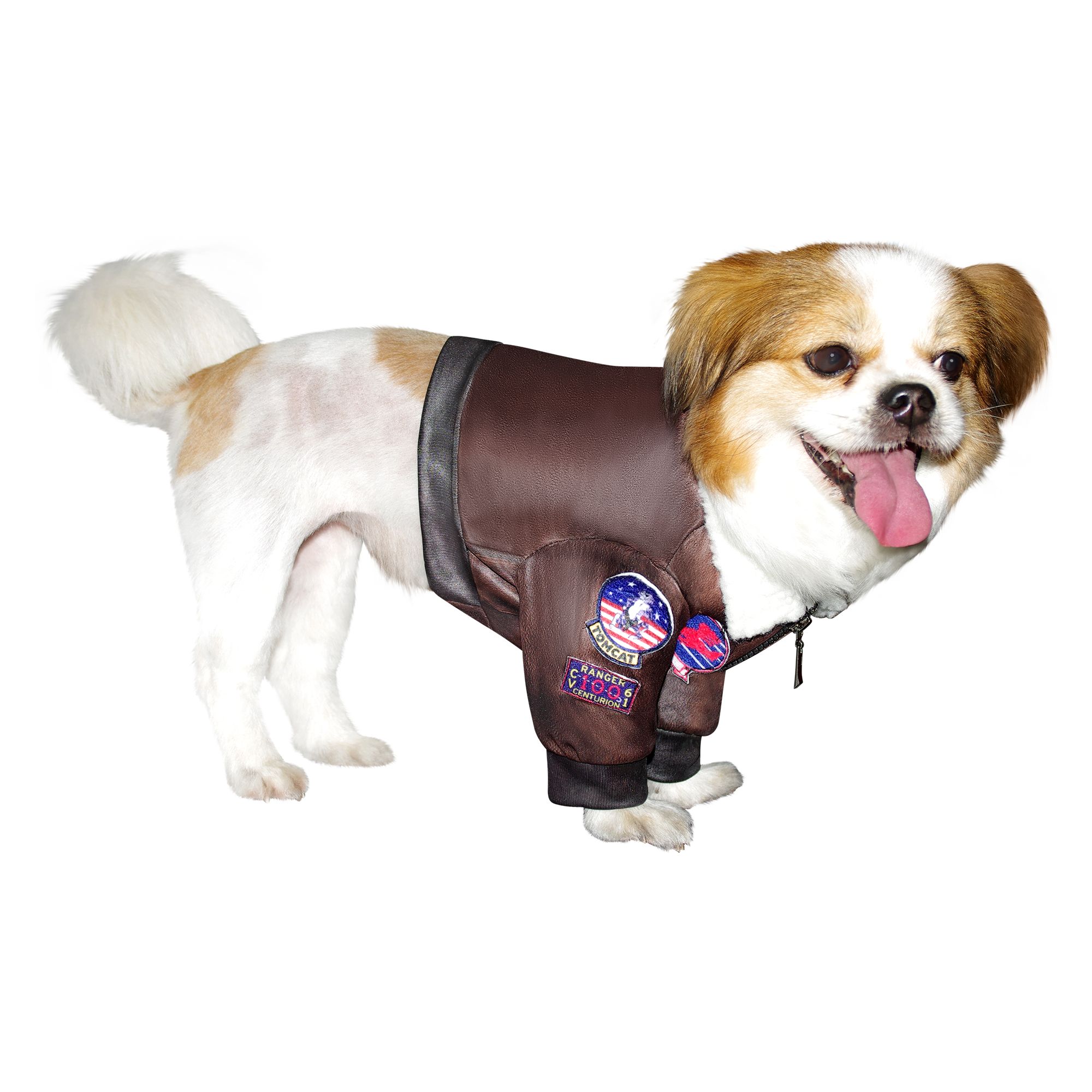 top gun maverick dog collar