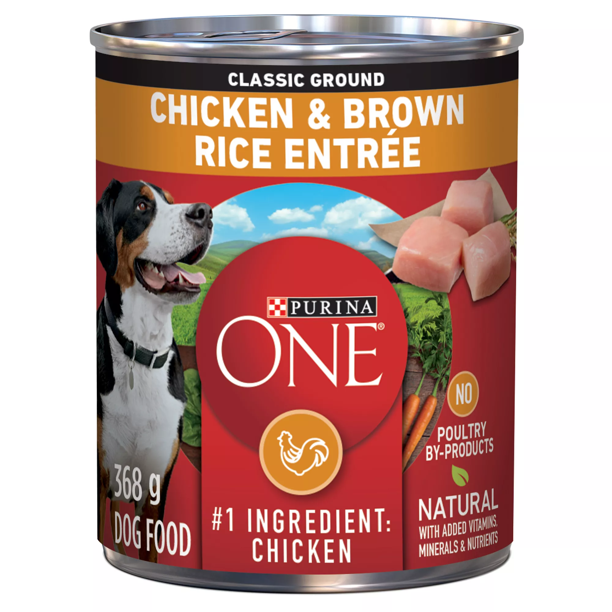 Purina ONE SmartBlend Wet Dog Food - Chicken & Brown Rice