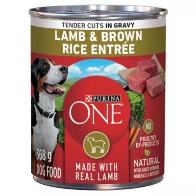 Purina ONE SmartBlend Wet Dog Food Lamb Brown Rice