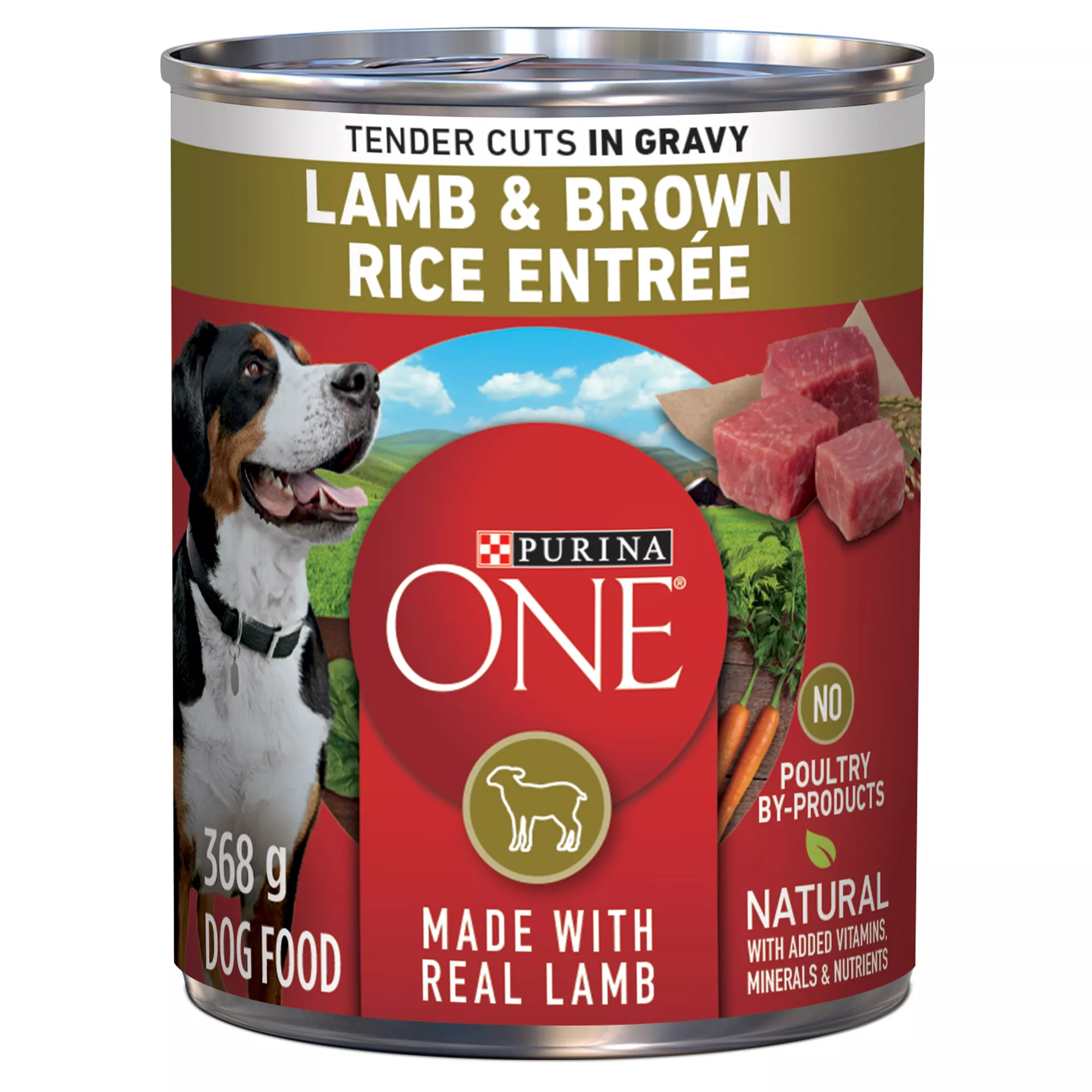 Purina ONE SmartBlend Wet Dog Food - Lamb & Brown Rice