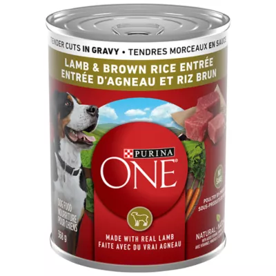 Product Purina ONE SmartBlend Wet Dog Food - Lamb & Brown Rice