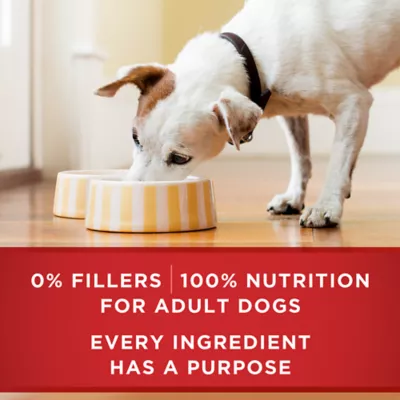 Purina one wet dog food reviews best sale