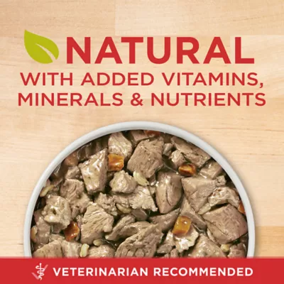 Purina ONE SmartBlend Wet Dog Food Lamb Brown Rice