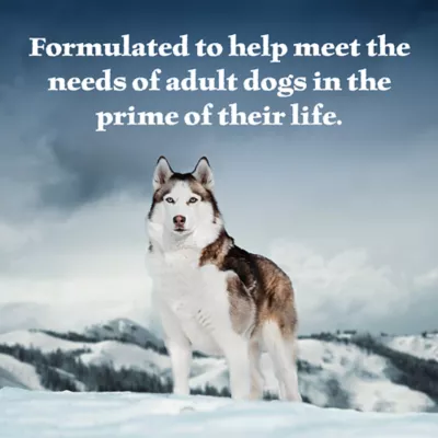 Product Blue Buffalo® Wilderness™ Adult Wet Dog Food - High-Protein, Wholesome Grains, 12.5 oz