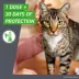 Frontline Plus Flea & Tick Spot Treatment for Cats, 1.5 lbs and over image thumbnail 5