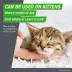 Frontline Plus Flea & Tick Spot Treatment for Cats, 1.5 lbs and over image thumbnail 6