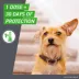 Frontline Plus Flea & Tick Dog Treatment 89-132 lbs image thumbnail 5