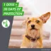 Frontline Plus Flea and Tick Dog Treatment 23-44 lbs image thumbnail 5