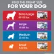 Product Frontline Plus Flea & Tick Dog Treatment 45-88 lbs
