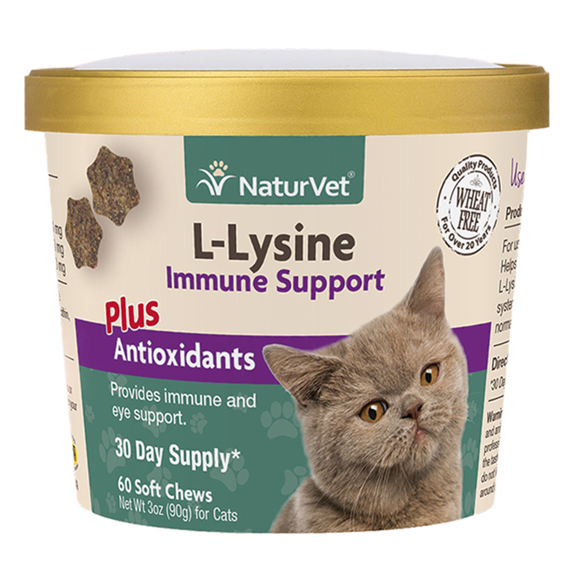 Lysine supplement for cats best sale