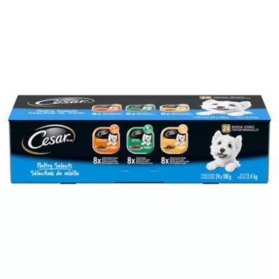 Product Cesar Classic Loaf In Sauce Adult Wet Dog Food Poultry Selects Variety Pack, 24ct