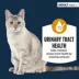 Authority® Urinary Tract Health Cat Wet Food - 3 Oz, Pate image thumbnail 2