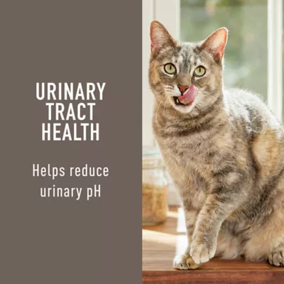 Product Simply Nourish® Urinary Tract Health Cat Wet Food - 3 Oz, Natural, With-Grain