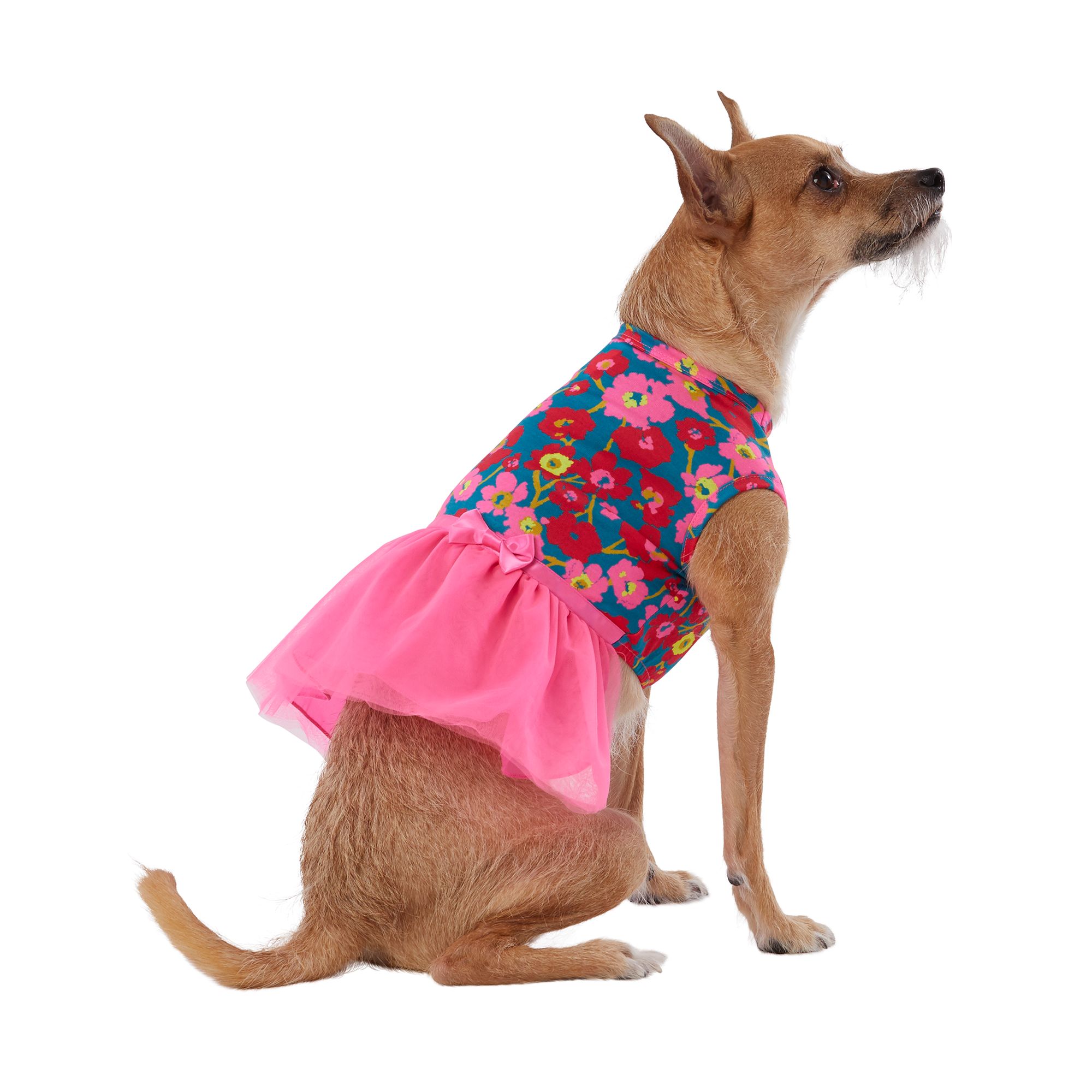 pink eye drops for dogs petsmart