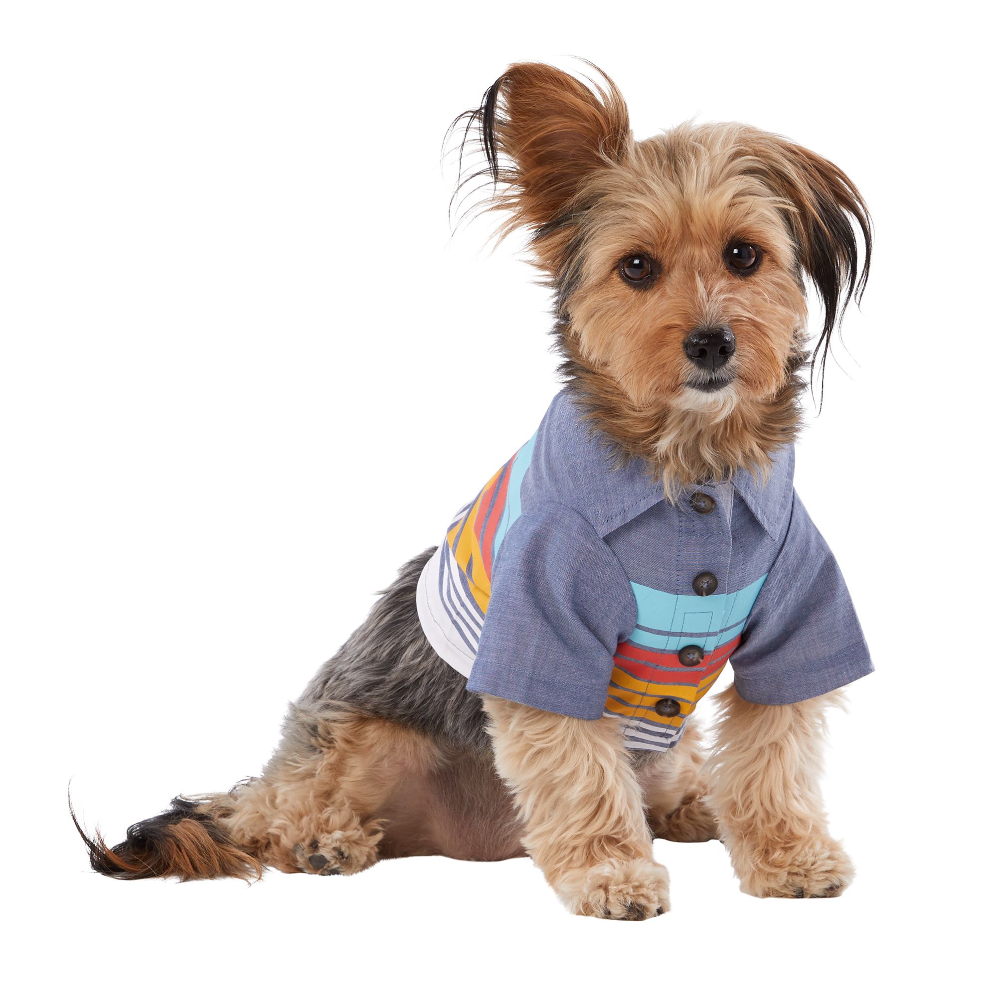 petsmart dog shirts