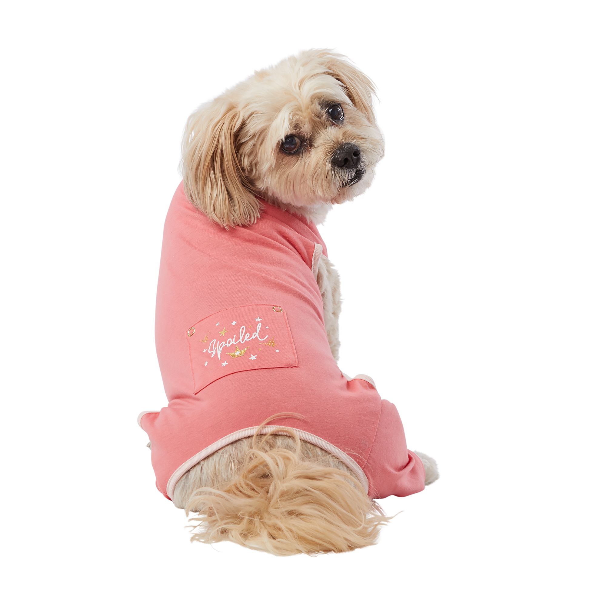 pink eye drops for dogs petsmart