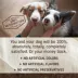 Merrick® Grain Free® Adult Dry Dog Food - Natural, Texas Beef & Sweet Potato image thumbnail 10