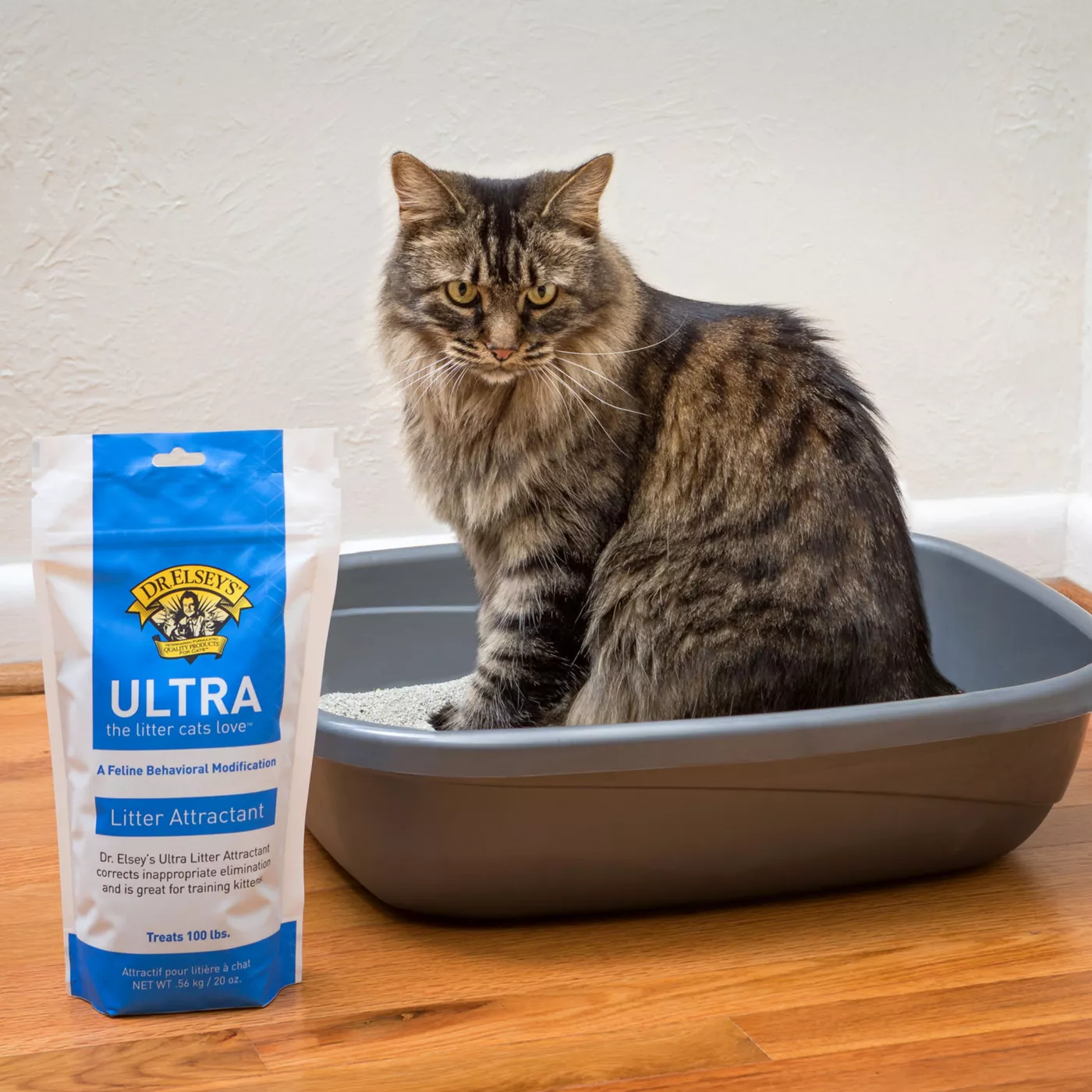 Litter box attractant additive best sale