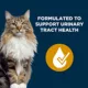 Product Authority Urinary Tract Health Adult Dry Cat Food - Chicken & Rice