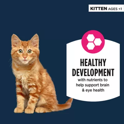 Product Authority Everyday Health Kitten Wet Cat Food - Shredded, 3oz