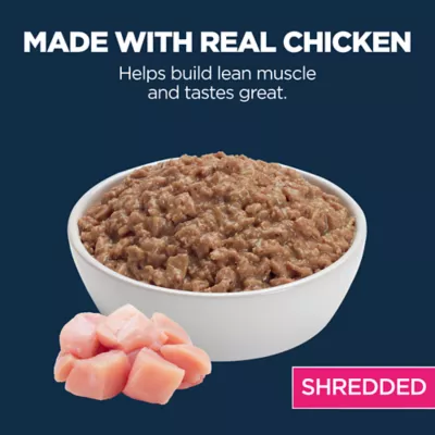 Product Authority Everyday Health Kitten Wet Cat Food - Shredded, 3oz