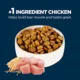 Product Authority® Everyday Health All Life Stages Dry Dog Food - Grain Free, Chicken & Pea, 30 lb