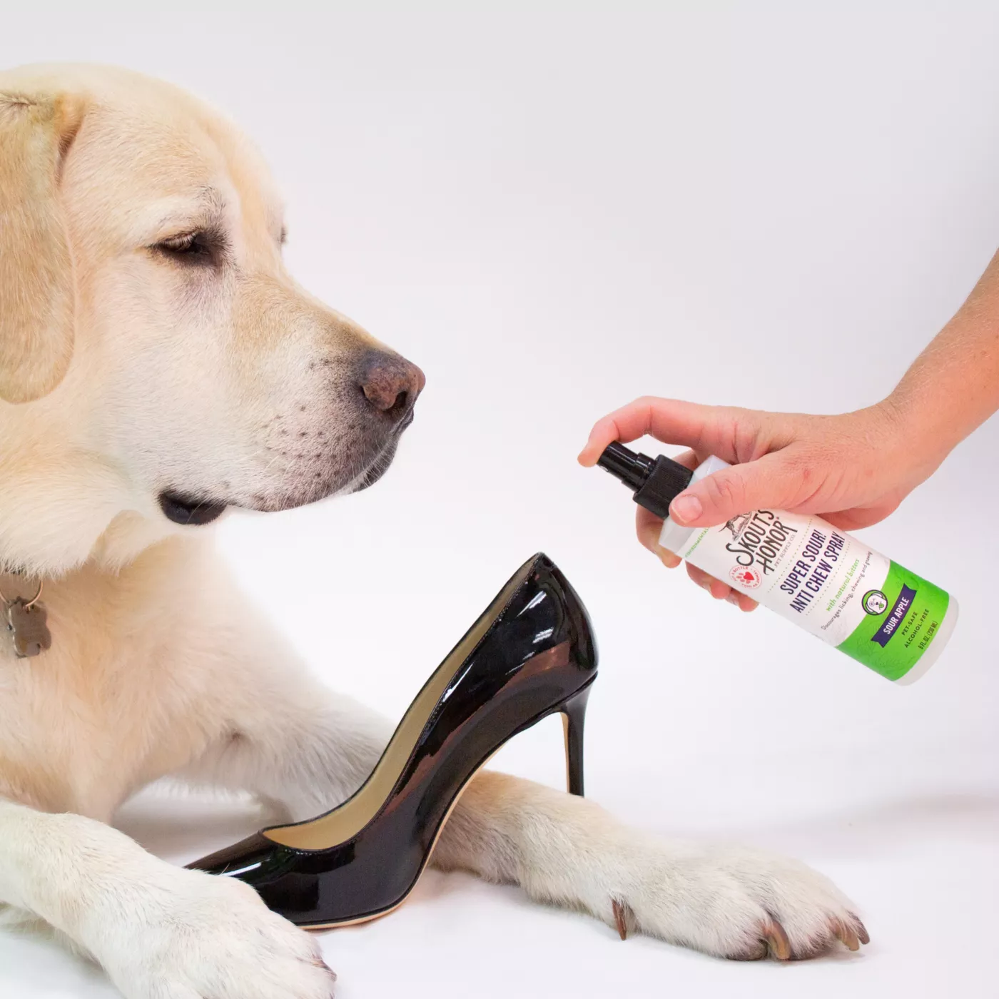 S dog fashion chewing spray