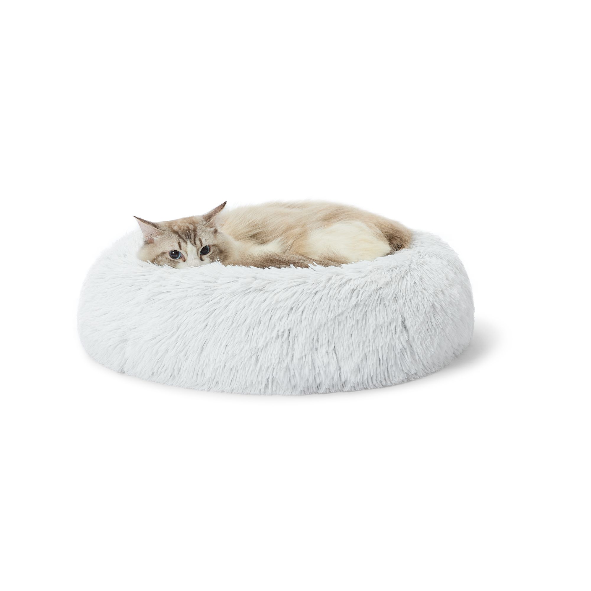 Petsmart cat store beds