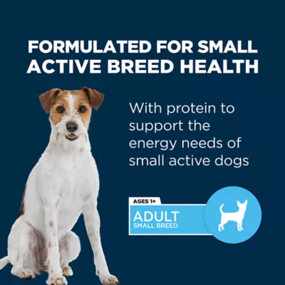 Product Authority® Everyday Health Small Breed Adult Dry Dog Food - Chicken