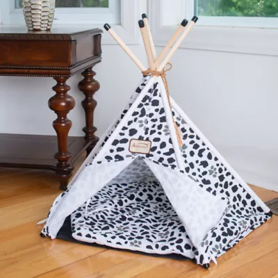 Petsmart cat tent best sale