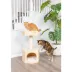 Armarkat 29-in Premium Scots Pine Real Wood Condo & Cat Tree, Natural image thumbnail 6