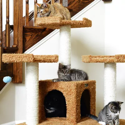 Armarkat 74-in Faux Fur Two Playhouses & Running Ramps Real Wood Cat Tree, Ochre Brown - Image 7