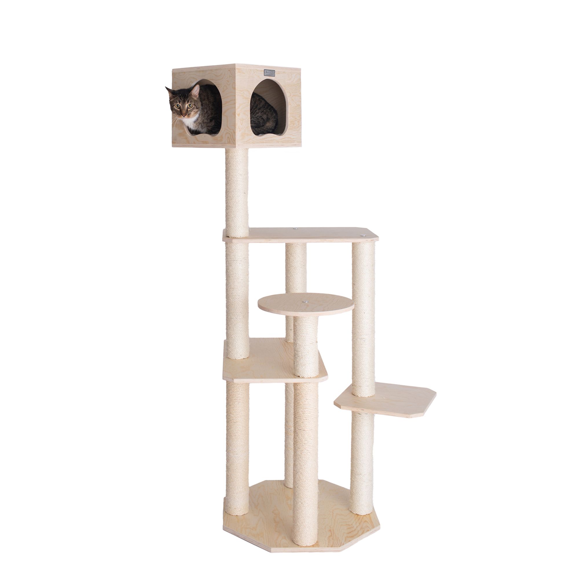 Armarkat 69 In Premium Scots Pine Condo Cat Tree Natural Cat Furniture Towers Petsmart