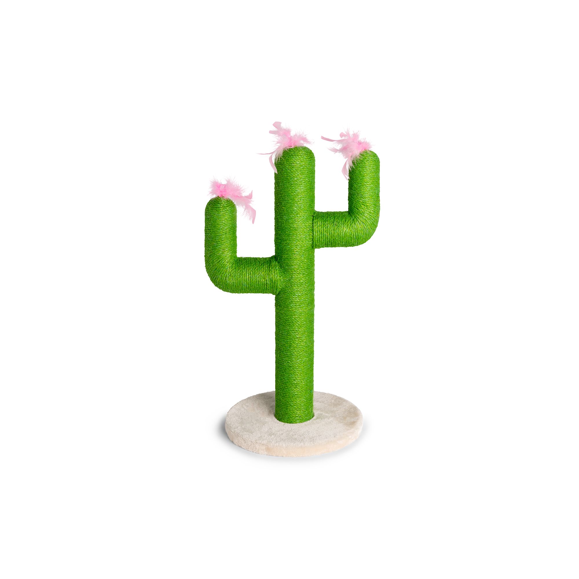 Cactus cat clearance post