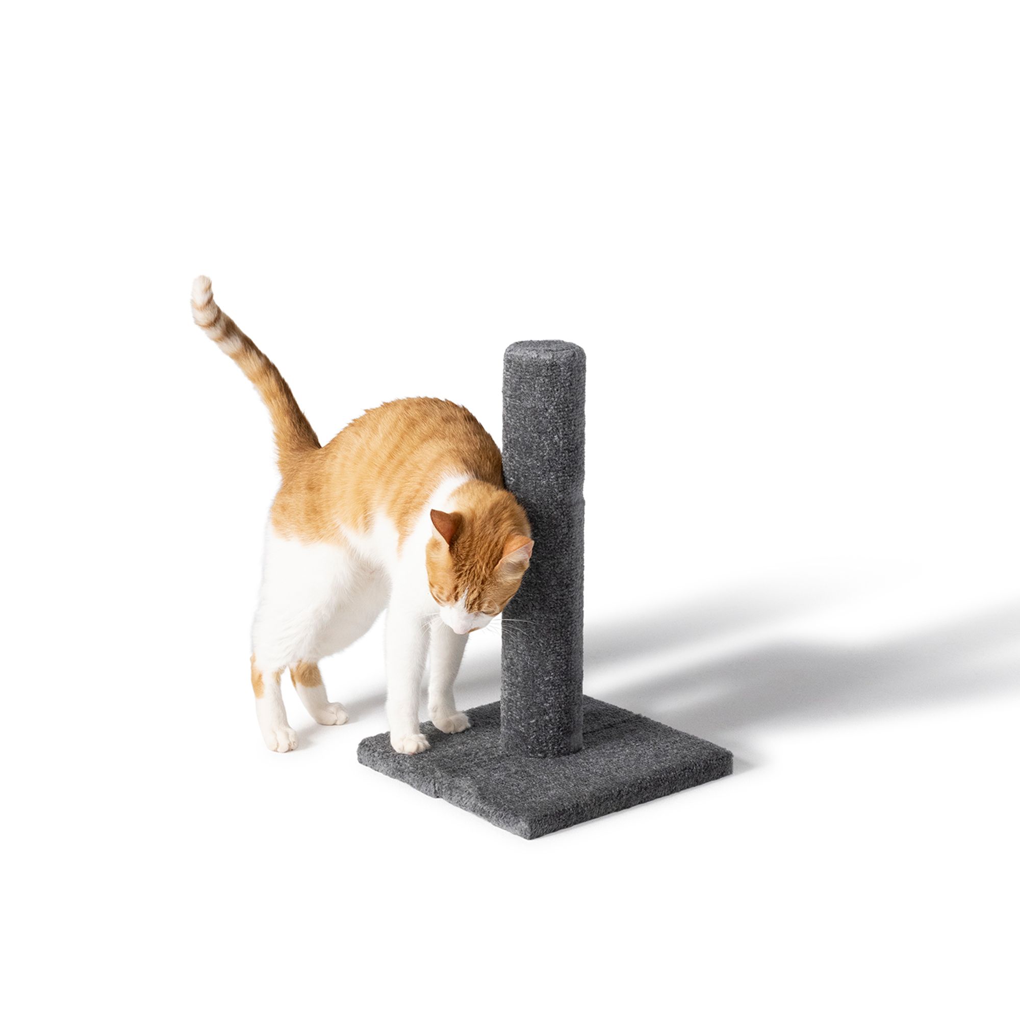 Petsmart cat scratching post sale