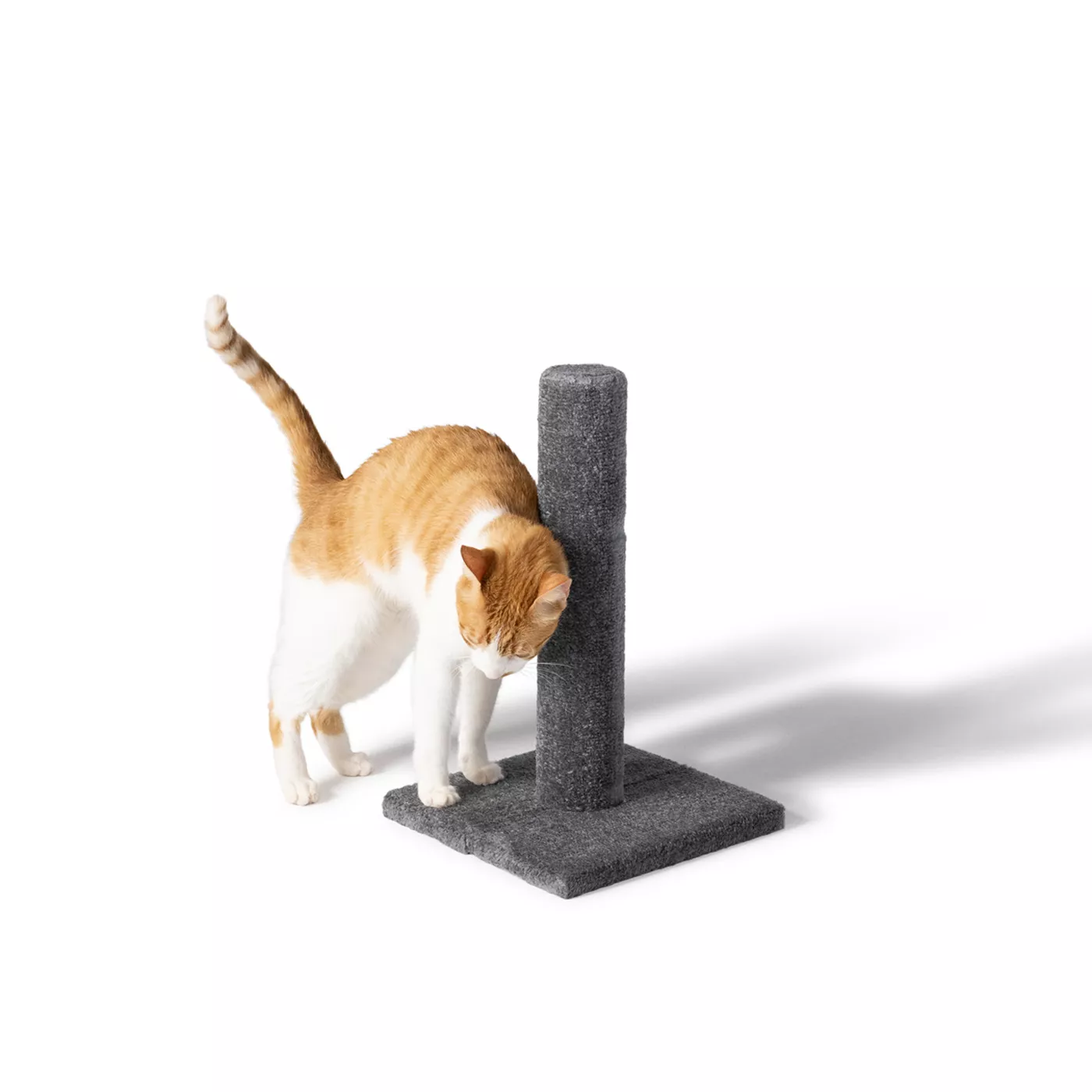 High cat scratching post best sale