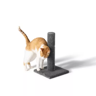 Product Whisker City® 19-in Carpet Scratching Post