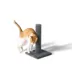 Whisker City® 19-in Carpet Scratching Post image thumbnail 1