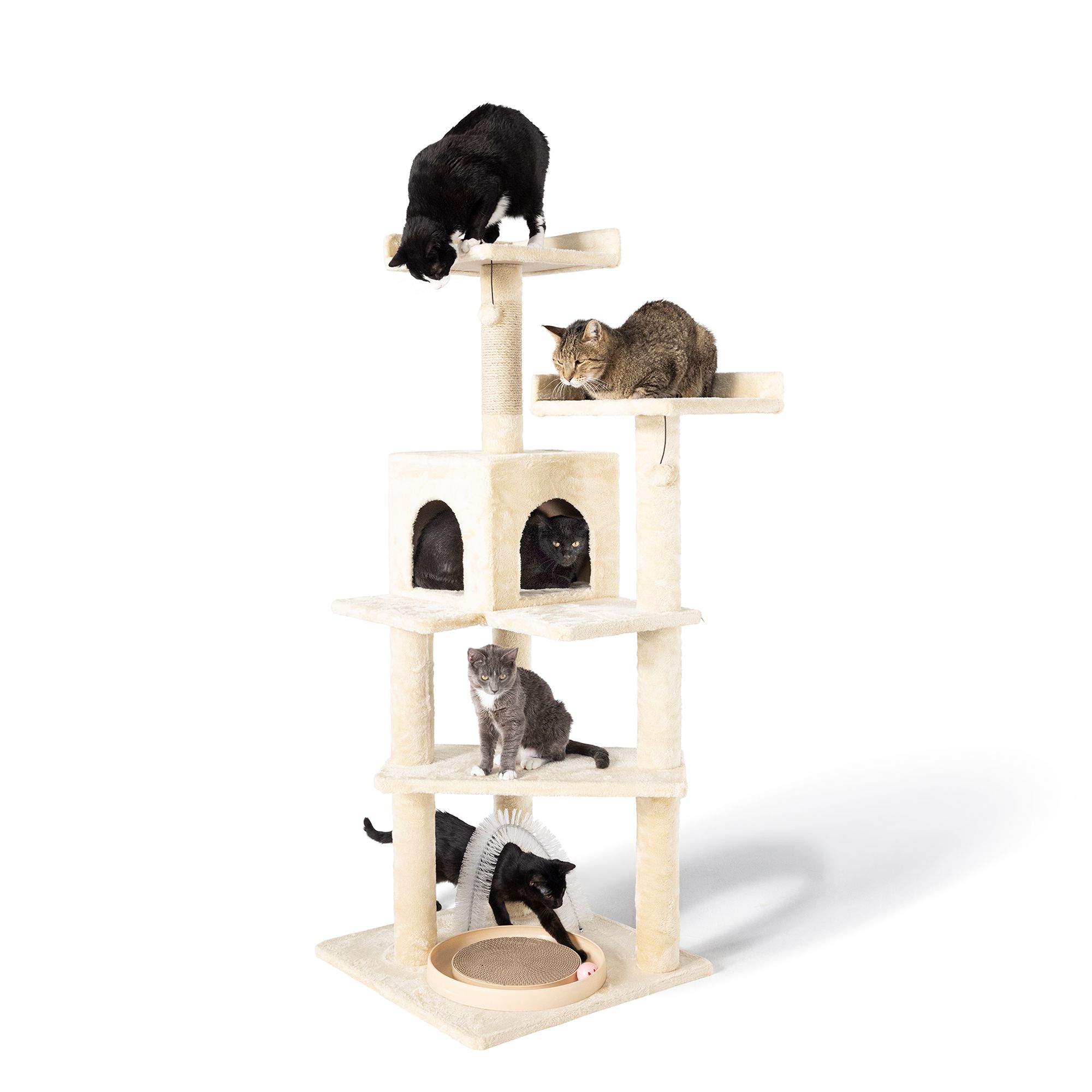 Whisker City 60 in Playbox Ball Track with Scratcher Toys Cat Tree