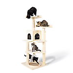 Cat Furniture & Towers
