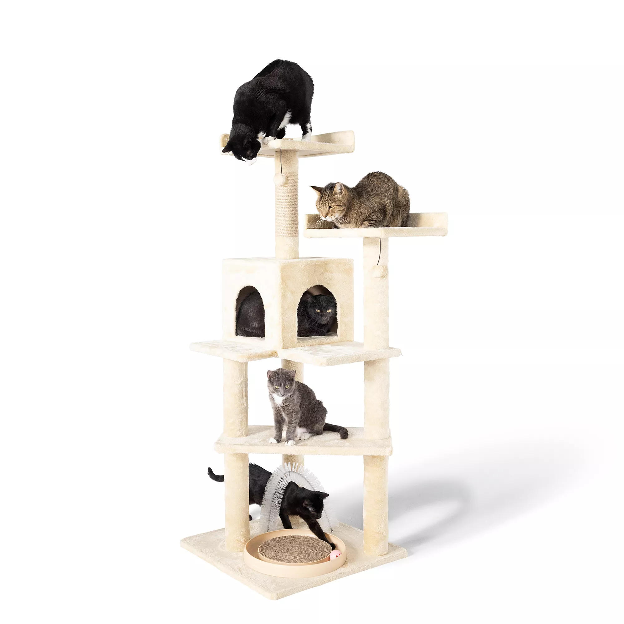 Clearance cat tower hotsell