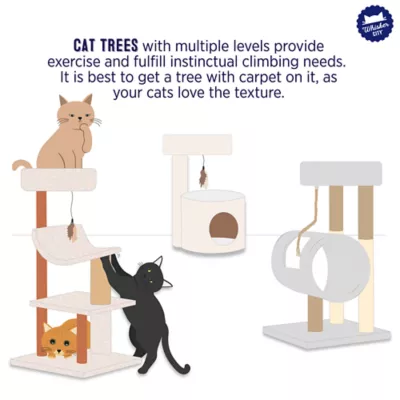 Product Whisker City® 60-in Playbox, Ball Track with Scratcher Toys Cat Tree