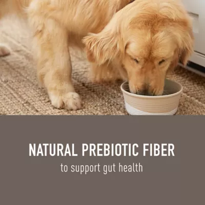 Product Simply Nourish® Natural Solutions Gut Health All Life Stage Dog Meal Topper - 3 Oz.,