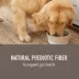 Simply Nourish® Natural Solutions Gut Health All Life Stage Dog Meal Topper - 3 Oz., image thumbnail 3