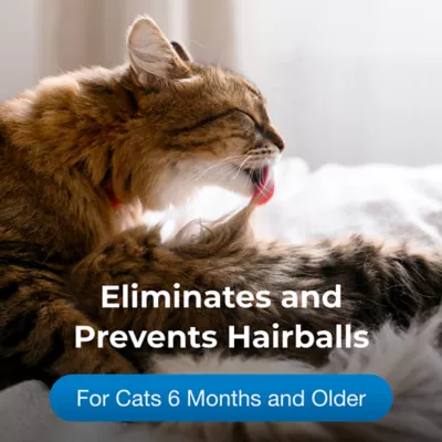 Product PetAg® Hairball Natural Solution Gel Supplement for Cats, 3.5 oz.