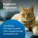 Product PetAg® Hairball Natural Solution Gel Supplement for Cats, 3.5 oz.