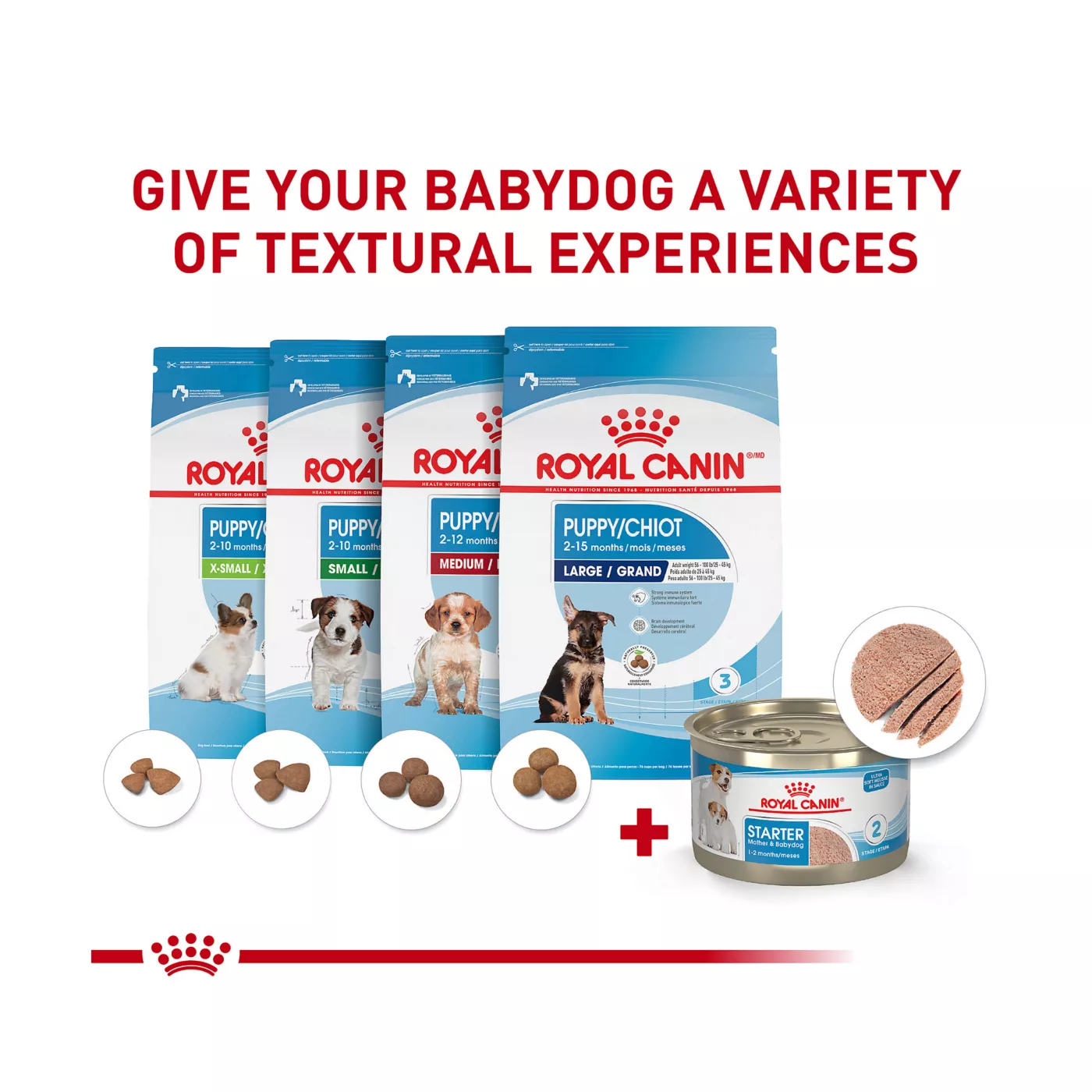 Royal canin mini starter fashion mousse