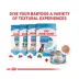 Royal Canin Size Health Nutrition Starter Mousse Mother & Babydog Wet Dog Food - 5.1 oz image thumbnail 5