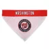Pets First MLB Washington Nationals Pet Bandana image thumbnail 2