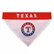 Product Pets First Texas Rangers MLB Pet Bandana